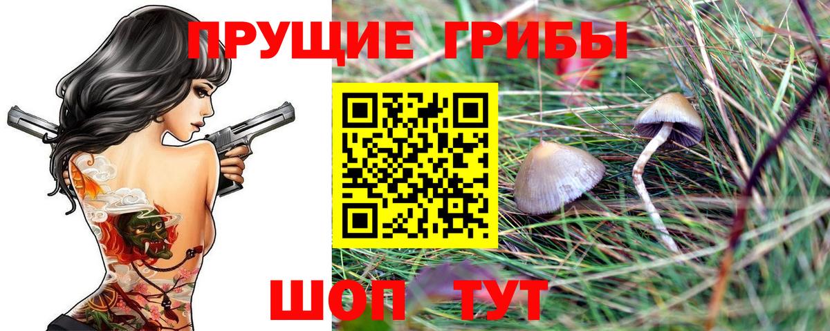 Галлюциногенные грибы Cubensis  Вход с VPN  Чернушка 