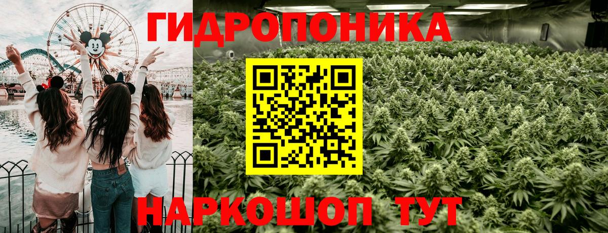 Шишки марихуана сатива  Канабис индика  МАРИХУАНА THC 21%  Чернушка  Вход с VPN 